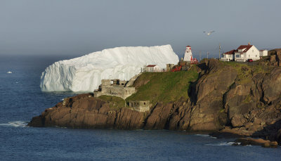 DSC00788 - Fort Amherst Berg