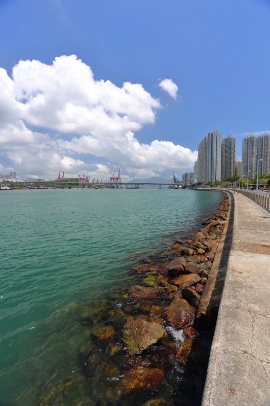 IMG_2383s.JPG