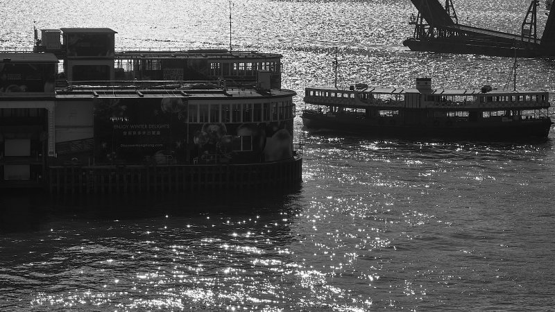 DSCF2786s.jpg