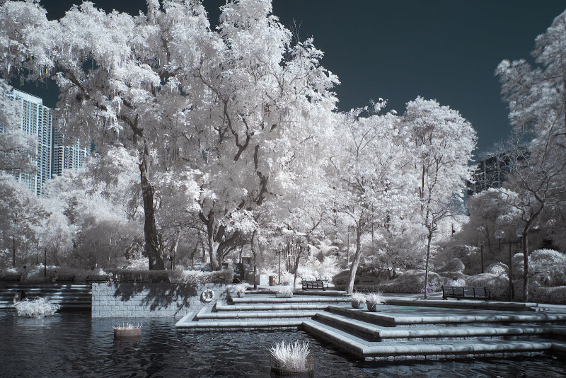 DSCF2410rs.jpg