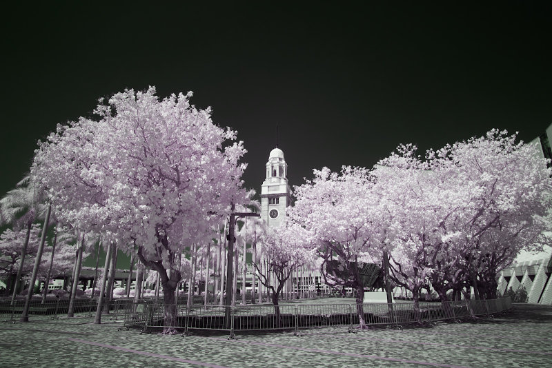 DSCF2556rs.jpg