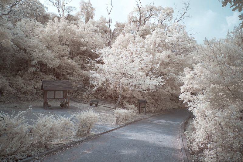 DSCF3309rs.jpg