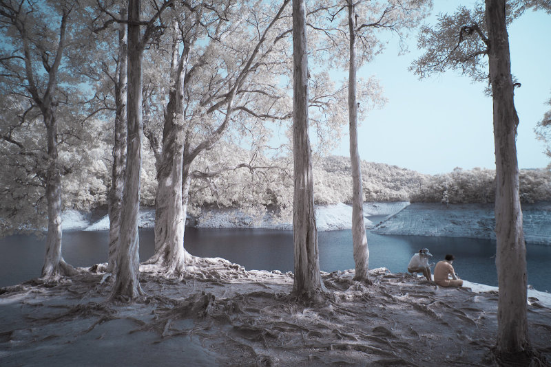 DSCF3330rs.jpg