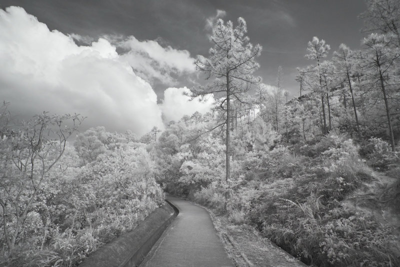 DSCF3510rs.jpg