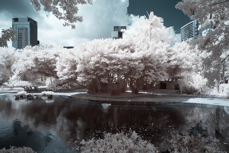 DSCF3645rs.jpg