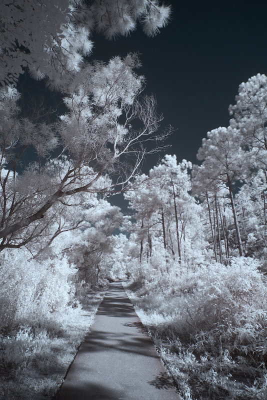 DSCF3699s.jpg