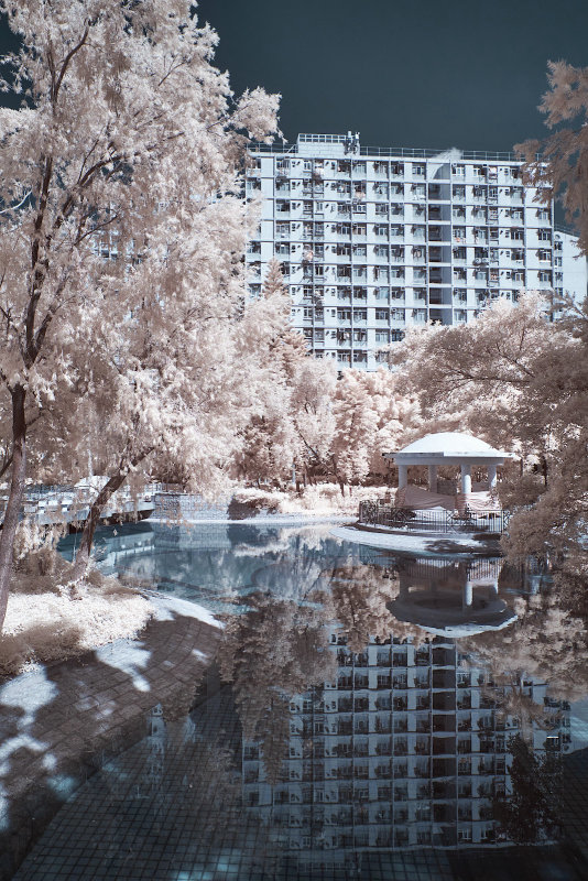 DSCF3800s.jpg