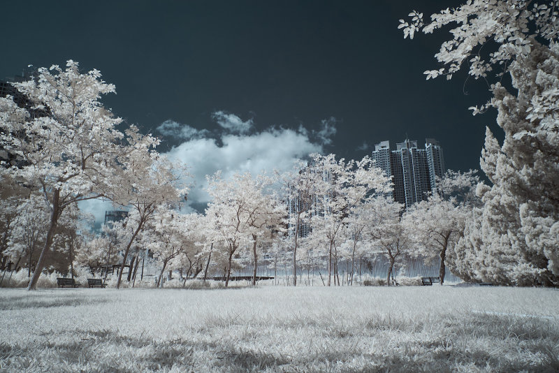 DSCF3814s.jpg