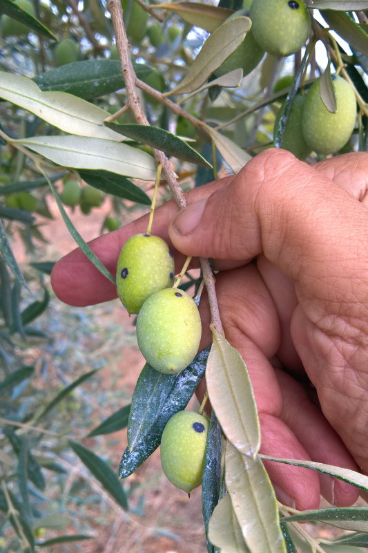 WP_20191007_09_44_45_Pro.jpg