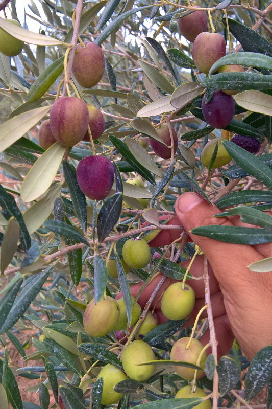 WP_20191007_10_15_40_Pro.jpg