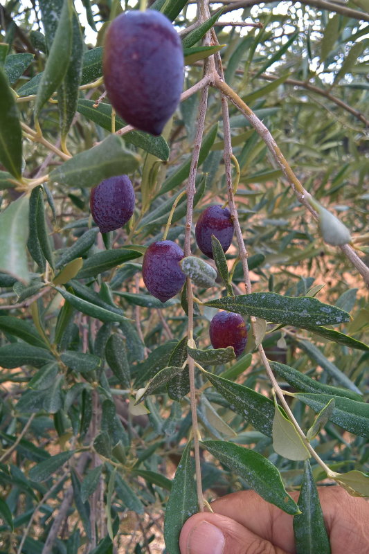 WP_20191007_10_34_08_Pro.jpg