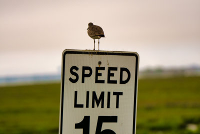 No respect.for the speed limit.