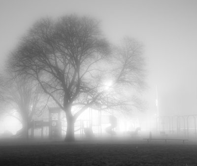 751_8518-1-3.jpg