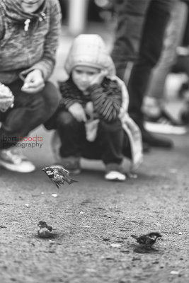Edinburgh 49+.jpg