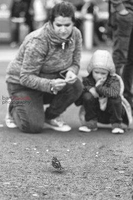 Edinburgh 50+.jpg