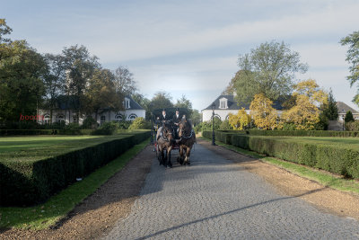 Gemeente 1+.jpg