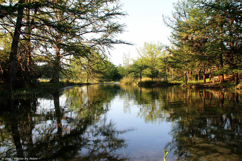 LWC, Cypress Creek Rd., Real Co