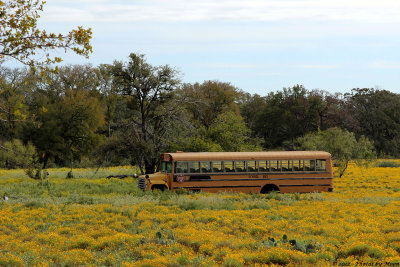 October 14th, 2012 - Wildflower Bus