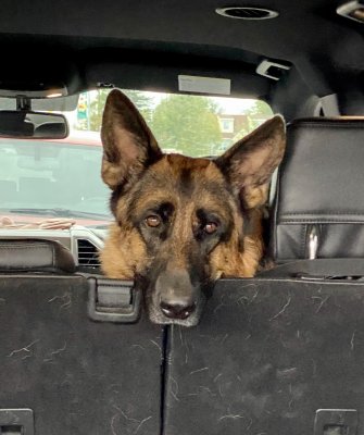 Waiting In The Car