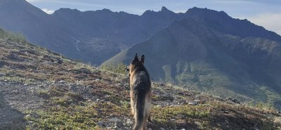Lazy Mountain