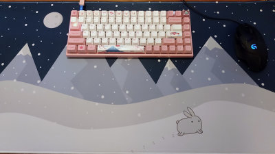 Winter Bunny Deskmat