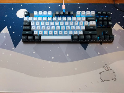 Winter Bunny and SA Nightlight