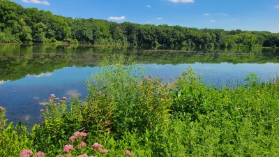 Swallow Cliff 