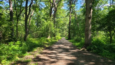 Swallow Cliff 