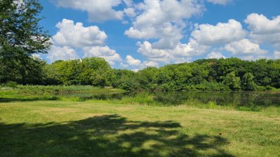 Swallow Cliff 