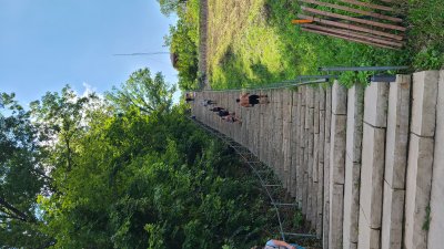 Swallow Cliff 