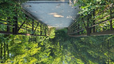 Swallow Cliff 
