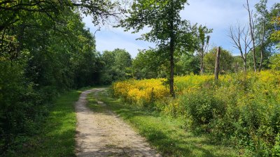 Swallow Cliff 