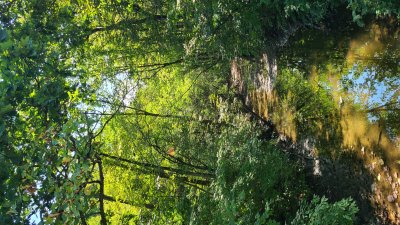 Swallow Cliff 