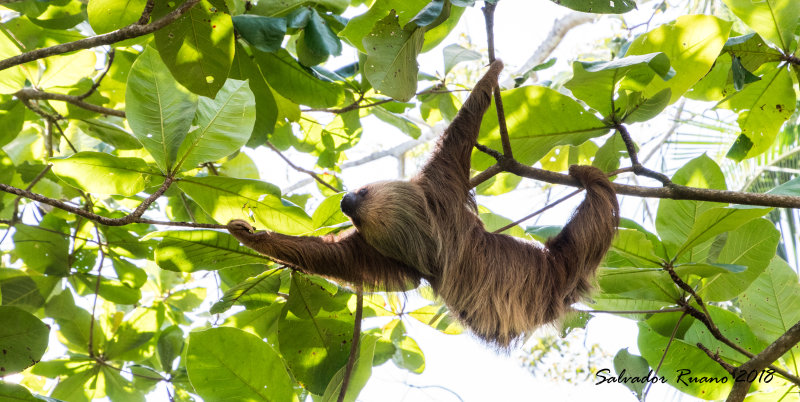 Costa Rica 2018