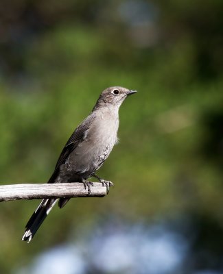 g12/07/1859307/3/171158487.TUEP23Ij.jpg