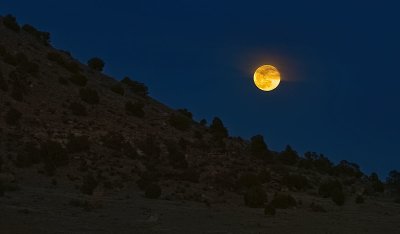 Super Moon