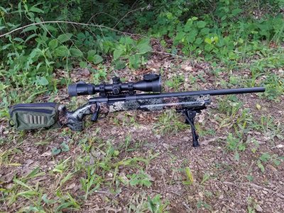 Howa 1500 .308 / B&C Tactical stock / Vortex S.E. 3-18x44 / Nightforce base / Vortex rings