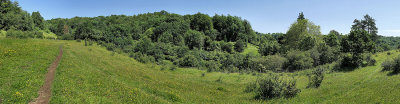 Daneway Banks Nature Reserve, Gloucestershire.