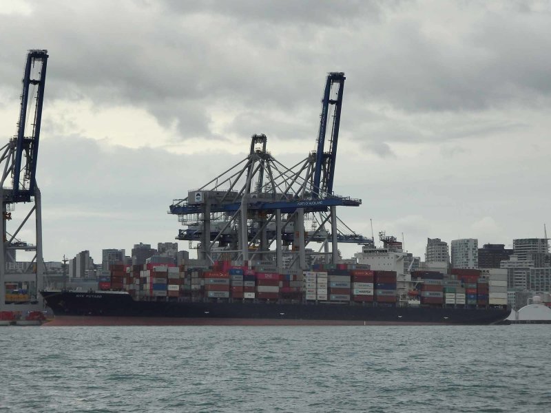 Container Ship NYK PUTAGO