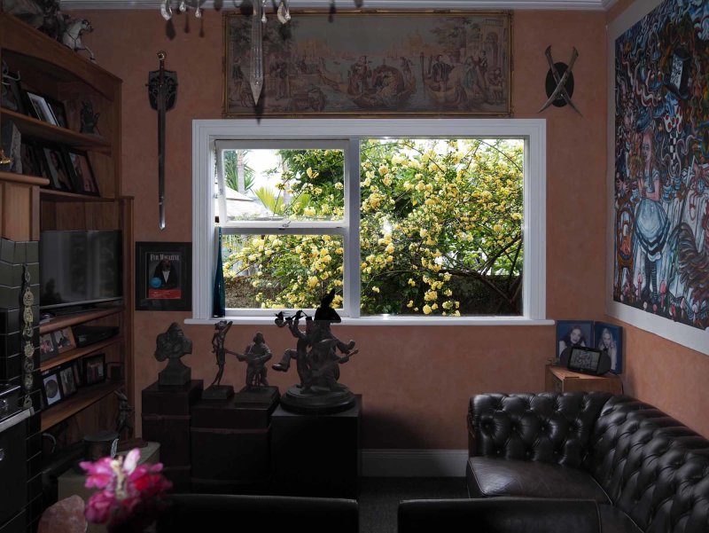 Dining Room Window