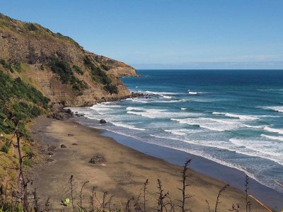 Southern Muriwai Beach