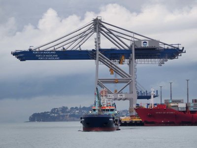 New Auckland Cranes