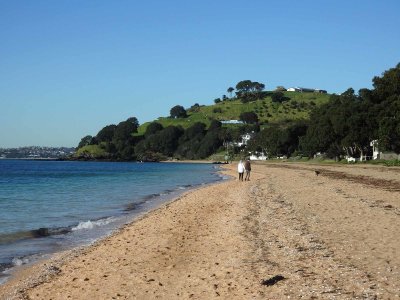 Cheltenham Beach 3