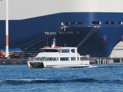 From Auckland Ferry 1