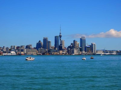 Auckland Afternoon 1