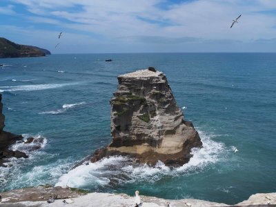 Motutara Island 3