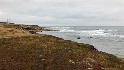 Au pays de lAirelle  et de la Camarine noire