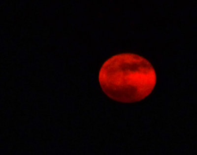 strawberry moon rise