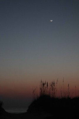 g12/07/617007/3/173023644.TydXRiMV.jpg