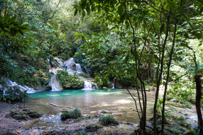 Las Escobas Tropical Rainforest - Izabal, Guatemala